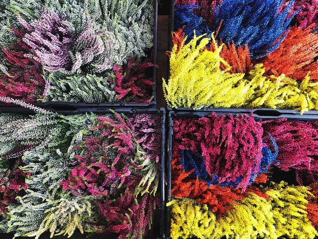 zbiór haftowanych próbek